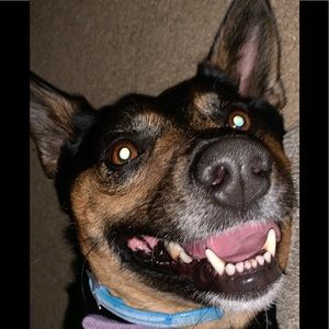 Meet your Posher, Paige